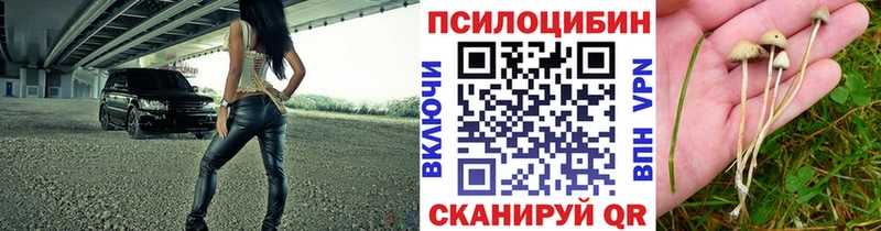 Псилоцибиновые грибы мицелий  Купить  Троицк 